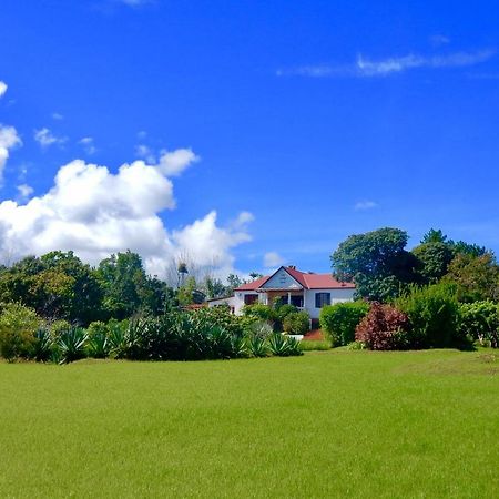 The Litchi Tree Amber Mountain Boutique Hotel Ambohitra エクステリア 写真
