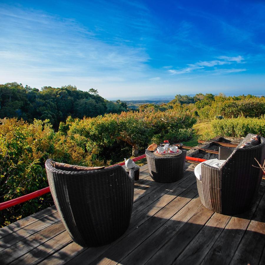 The Litchi Tree Amber Mountain Boutique Hotel Ambohitra エクステリア 写真
