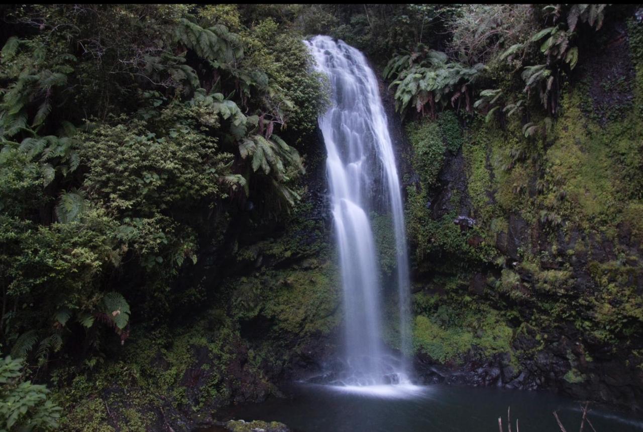The Litchi Tree Amber Mountain Boutique Hotel Ambohitra エクステリア 写真